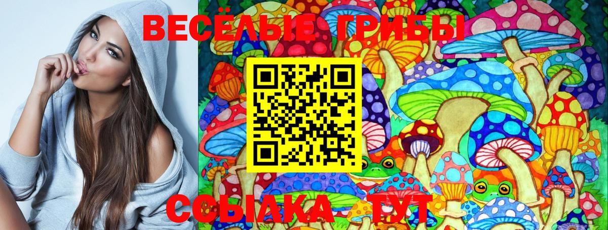 продажа наркотиков  Псилоцибиновые грибы Psilocybe  Вход с VPN  Рассказово 