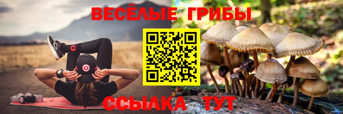 Псилоцибиновые грибы ЛСД Рассказово