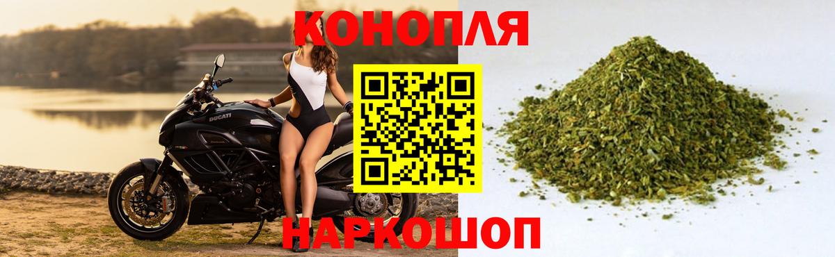 Шишки марихуана семена Рассказово